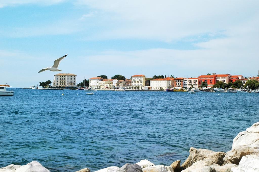 Apartment Rea & Deo Volente